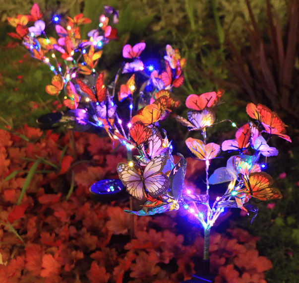 🦋 Transform Your Garden into a Magical Butterfly Wonderland! ✨