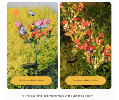 🦋 Transform Your Garden into a Magical Butterfly Wonderland! ✨