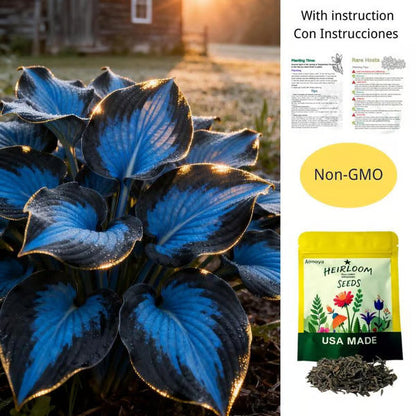 🔥Last day clearance🌌Premium Rare Hosta Seeds - Shade Plant for Garden