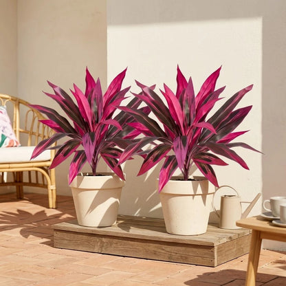 2-Pc UV-Resistant Vibrant Pink & Purple Artificial Ferns