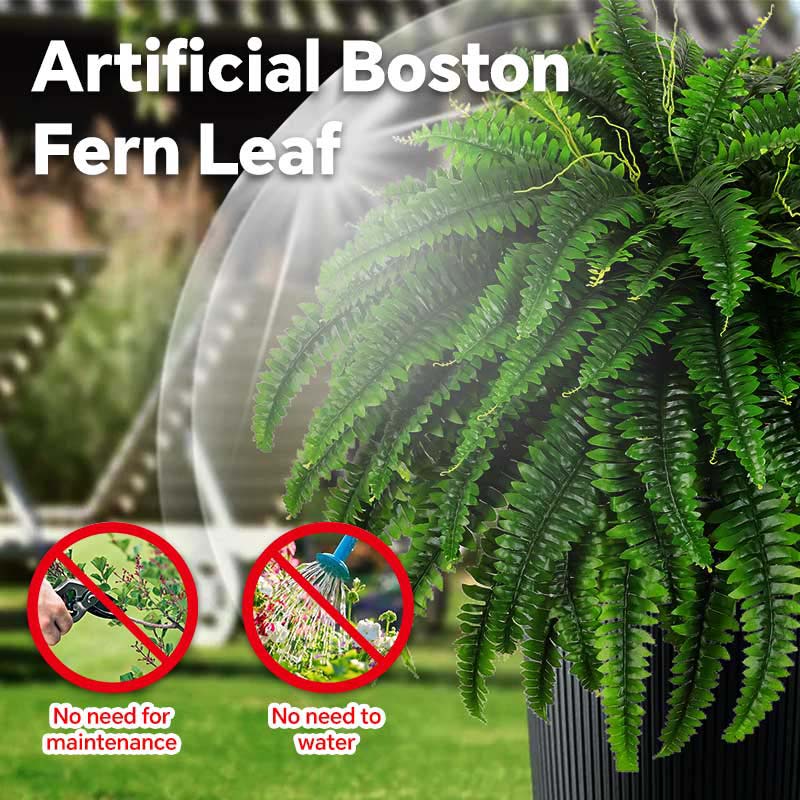 Buy 10 Get 5 Free (Fits 15 Pots)