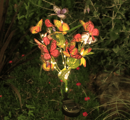 🦋 Transform Your Garden into a Magical Butterfly Wonderland! ✨