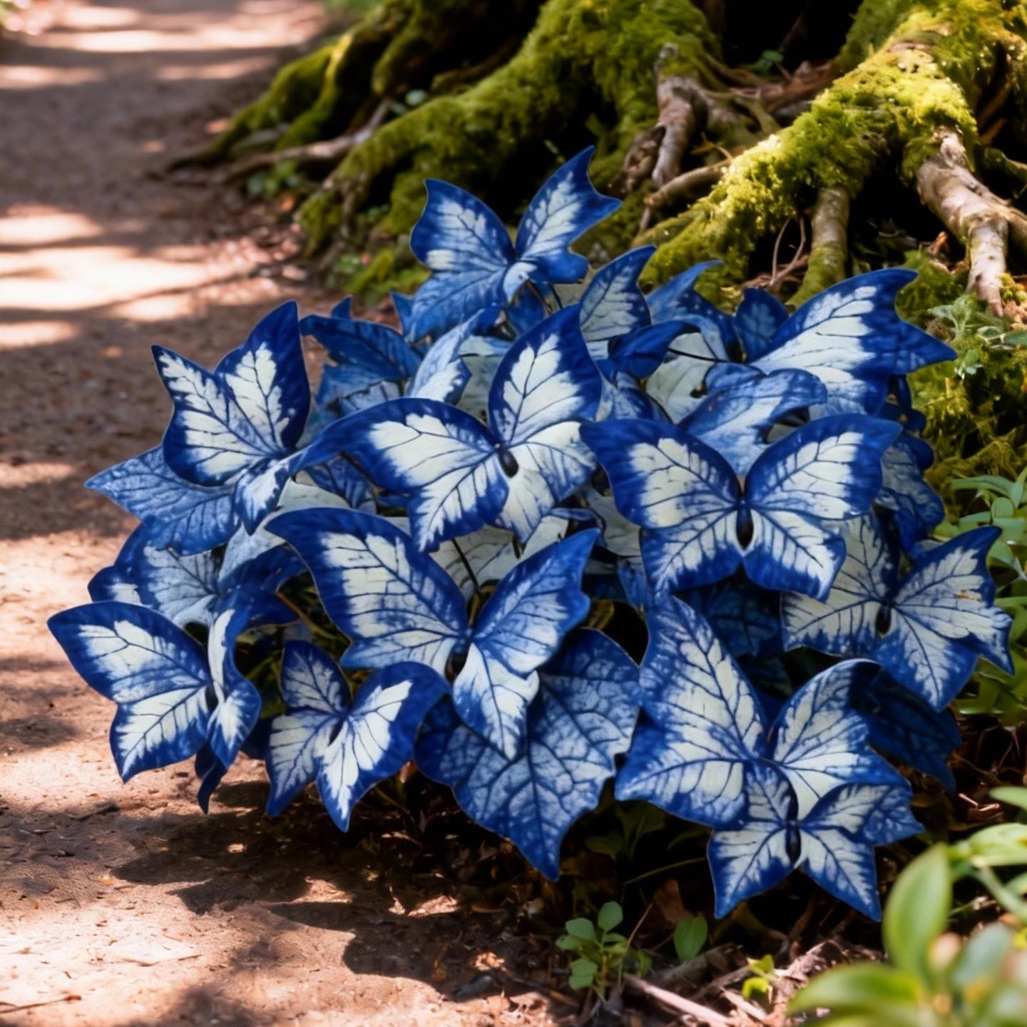 🦋Blue and white butterfly