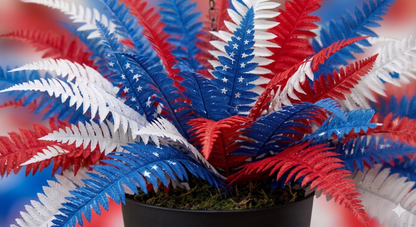 🔥50%OFF On Sale Only Today 🌱Celebrate America’s 250th in Style: The Limited-Edition Patriotic Fern 🇺🇸