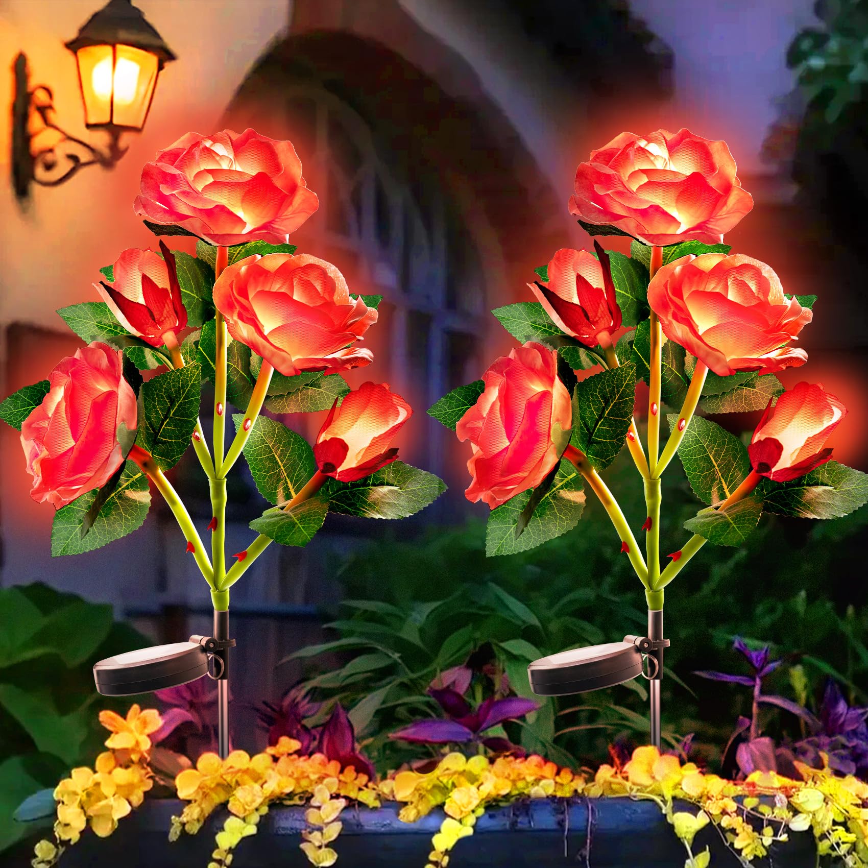 🌹 Rose Red – Passionate Heart