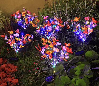 🦋 Transform Your Garden into a Magical Butterfly Wonderland! ✨