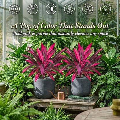 2-Pc UV-Resistant Vibrant Pink & Purple Artificial Ferns