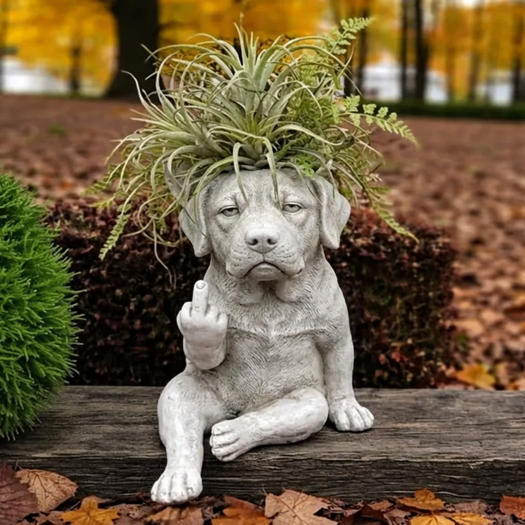Labrador