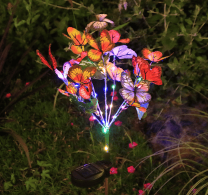 🦋 Transform Your Garden into a Magical Butterfly Wonderland! ✨