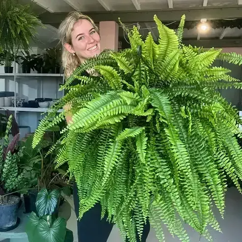 Buy 15 Get 15 Free (Fits 30 Pots)