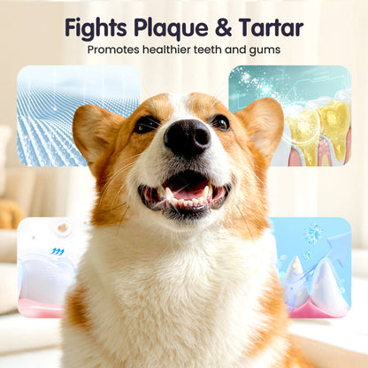 🔥2026 New Arrivals: 50% Off for a Limited Time!🔥Teeth Cleaning Spray for Pets